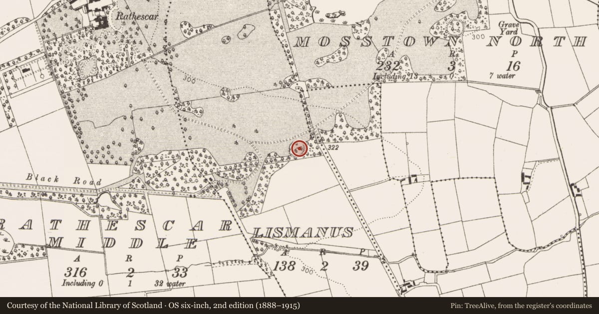 Ordnance Survey six-inch map, 2nd edition (1888–1915) covering the location of Ringfort - rath, Lismanus, County Louth, with a pin at the register's coordinates
