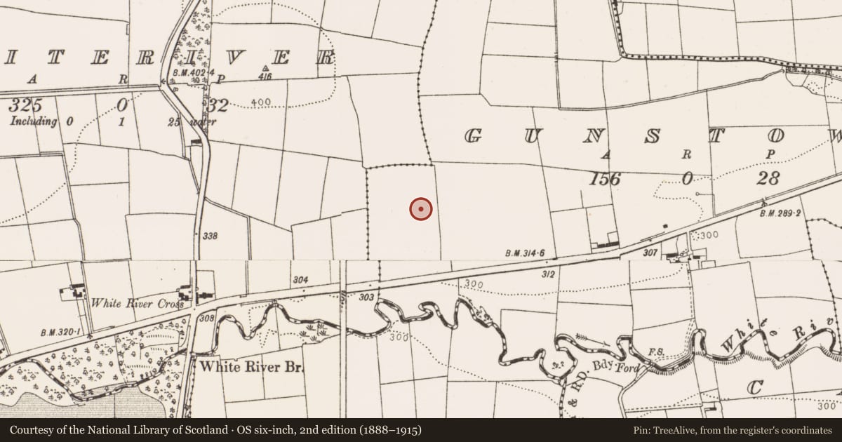 Ordnance Survey six-inch map, 2nd edition (1888–1915) covering the location of Earthwork, Gunstown, County Louth, with a pin at the register's coordinates