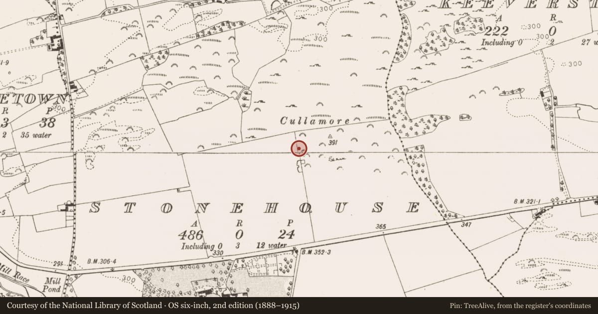 Ordnance Survey six-inch map, 2nd edition (1888–1915) covering the location of Enclosure, Stonehouse, County Louth, with a pin at the register's coordinates