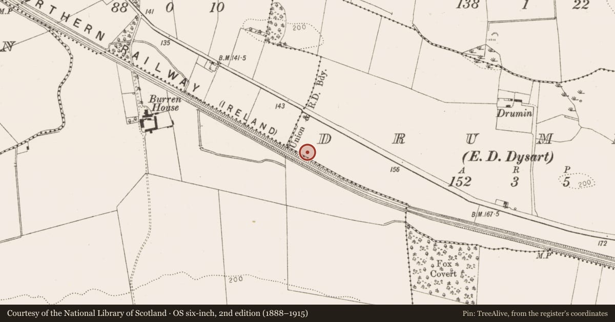 Ordnance Survey six-inch map, 2nd edition (1888–1915) covering the location of Fulacht fia, Drumin (Dysart Par.), County Louth, with a pin at the register's coordinates