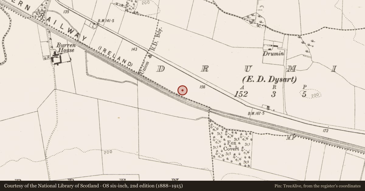 Ordnance Survey six-inch map, 2nd edition (1888–1915) covering the location of Fulacht fia, Drumin (Dysart Par.), County Louth, with a pin at the register's coordinates