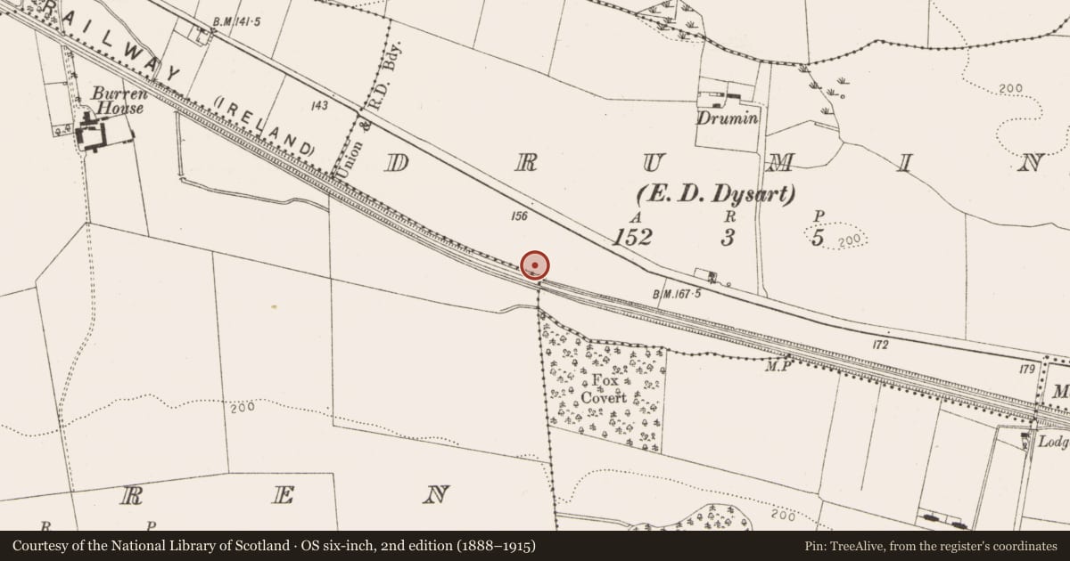 Ordnance Survey six-inch map, 2nd edition (1888–1915) covering the location of Fulacht fia, Drumin (Dysart Par.), County Louth, with a pin at the register's coordinates