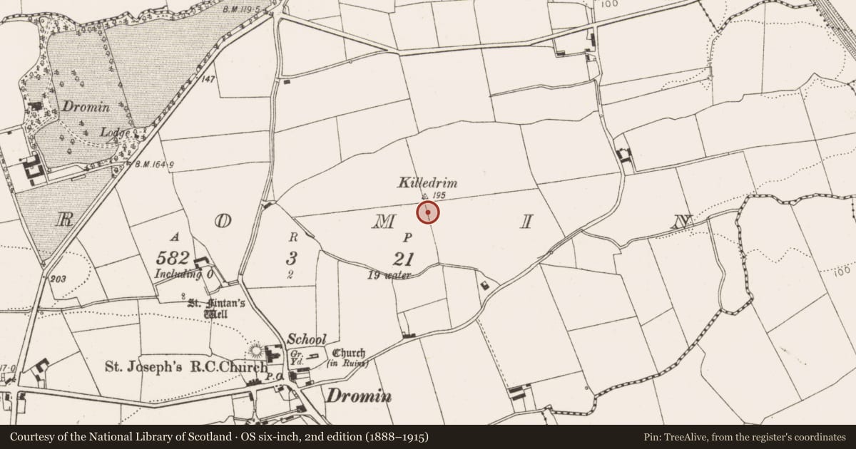 Ordnance Survey six-inch map, 2nd edition (1888–1915) covering the location of Graveyard, Dromin, County Louth, with a pin at the register's coordinates