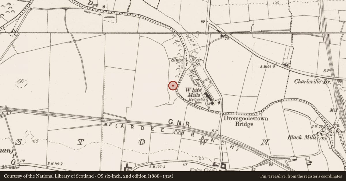 Ordnance Survey six-inch map, 2nd edition (1888–1915) covering the location of Burnt mound, Richardstown (Ardee By., Richardstown Par.), County Louth, with a pin at the register's coordinates
