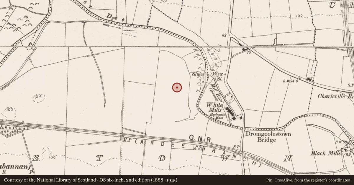 Ordnance Survey six-inch map, 2nd edition (1888–1915) covering the location of Excavation - miscellaneous, Richardstown (Ardee By., Richardstown Par.), County Louth, with a pin at the register's coordinates