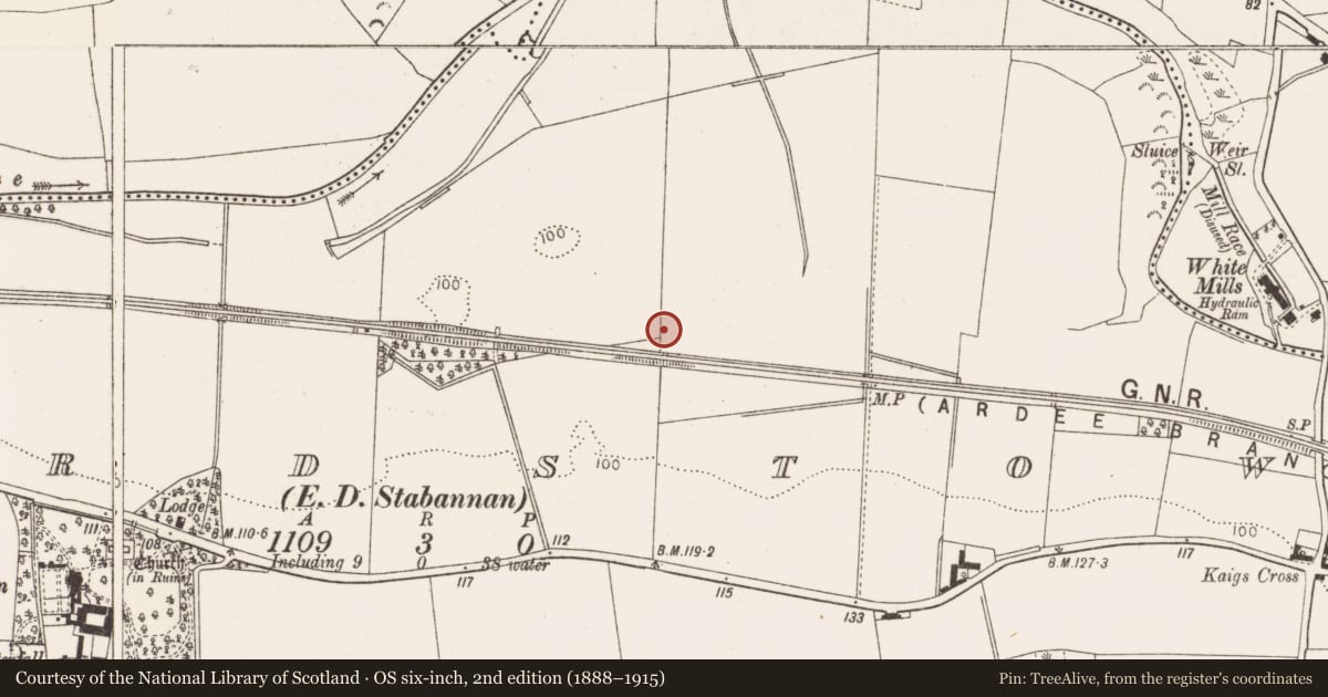 Ordnance Survey six-inch map, 2nd edition (1888–1915) covering the location of Excavation - miscellaneous, Richardstown (Ardee By., Richardstown Par.), County Louth, with a pin at the register's coordinates