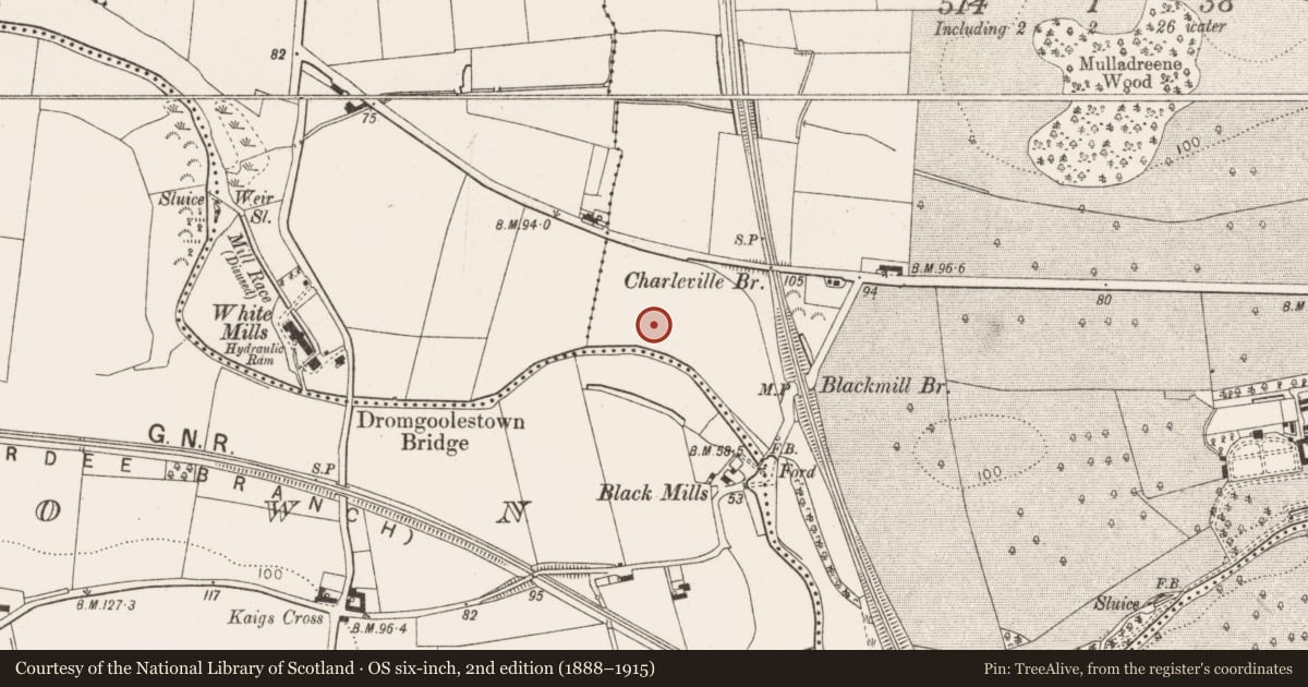 Ordnance Survey six-inch map, 2nd edition (1888–1915) covering the location of Excavation - miscellaneous, Charleville, County Louth, with a pin at the register's coordinates