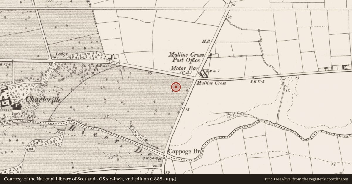 Ordnance Survey six-inch map, 2nd edition (1888–1915) covering the location of Enclosure, Mullincross, County Louth, with a pin at the register's coordinates