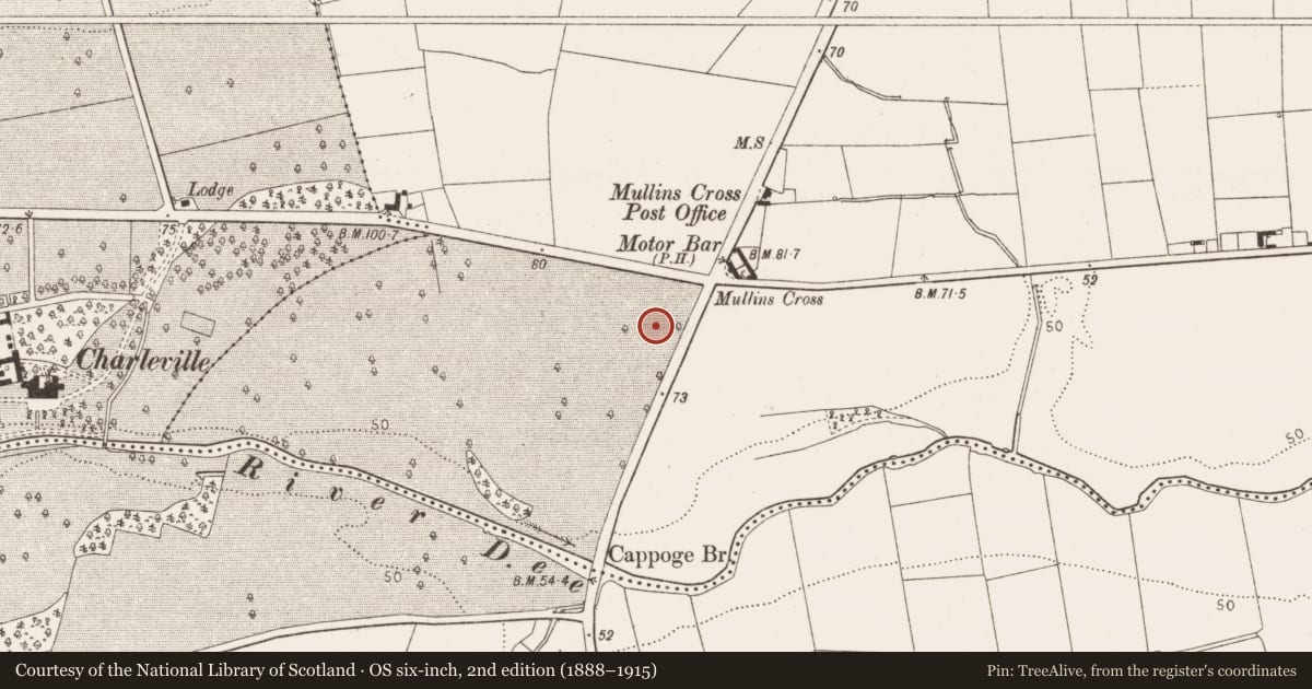 Ordnance Survey six-inch map, 2nd edition (1888–1915) covering the location of Enclosure, Mullincross, County Louth, with a pin at the register's coordinates
