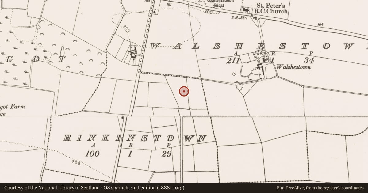 Ordnance Survey six-inch map, 2nd edition (1888–1915) covering the location of Enclosure, Rinkinstown, County Louth, with a pin at the register's coordinates