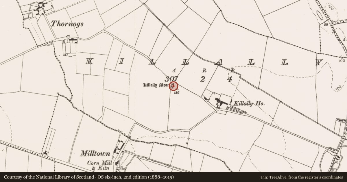 Ordnance Survey six-inch map, 2nd edition (1888–1915) covering the location of Souterrain, Killally, County Louth, with a pin at the register's coordinates