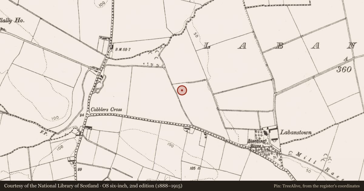 Ordnance Survey six-inch map, 2nd edition (1888–1915) covering the location of Church, Labanstown, County Louth, with a pin at the register's coordinates