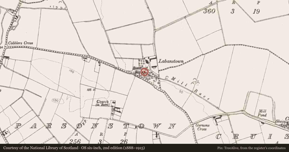 Ordnance Survey six-inch map, 2nd edition (1888–1915) covering the location of Standing stone, Labanstown, County Louth, with a pin at the register's coordinates