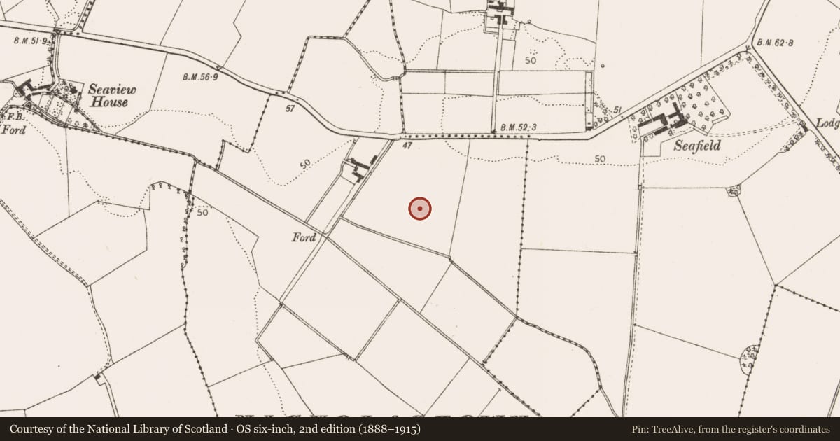 Ordnance Survey six-inch map, 2nd edition (1888–1915) covering the location of Ringfort - rath, Nicholastown, County Louth, with a pin at the register's coordinates