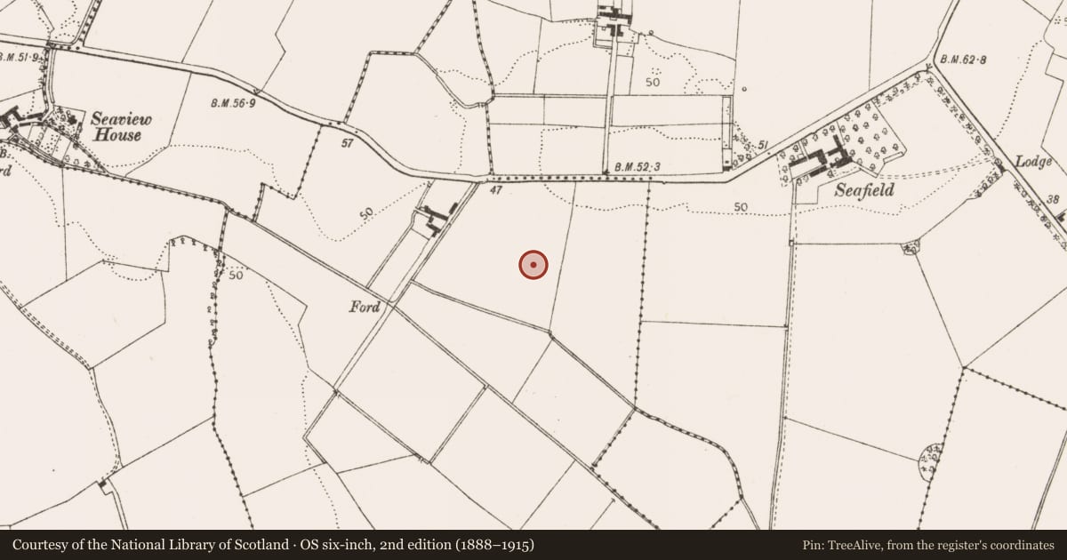 Ordnance Survey six-inch map, 2nd edition (1888–1915) covering the location of Enclosure, Nicholastown, County Louth, with a pin at the register's coordinates