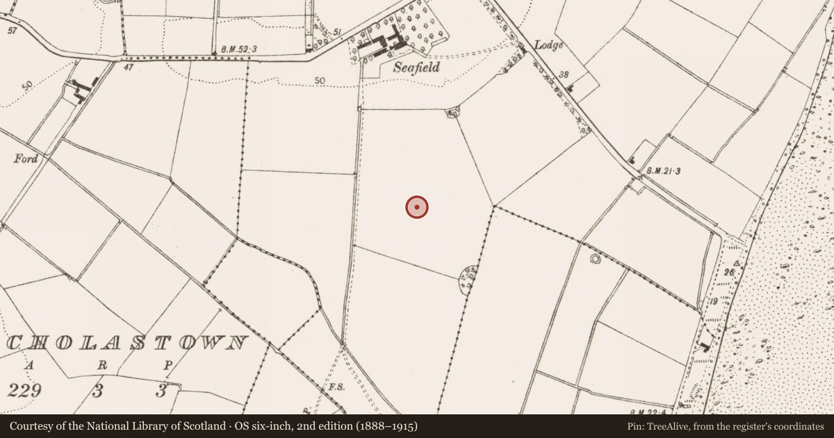 Ordnance Survey six-inch map, 2nd edition (1888–1915) covering the location of Barrow - unclassified, Port, County Louth, with a pin at the register's coordinates