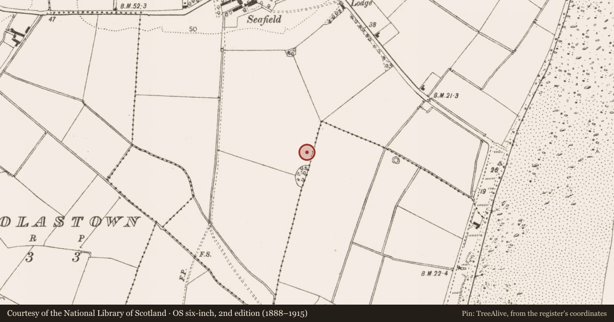 Ordnance Survey six-inch map, 2nd edition (1888–1915) covering the location of Barrow - unclassified, Port, County Louth, with a pin at the register's coordinates