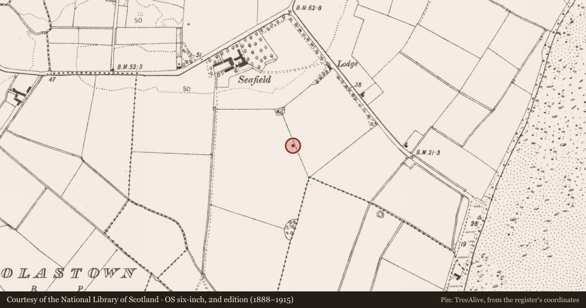 Ordnance Survey six-inch map, 2nd edition (1888–1915) covering the location of Field system, Port, County Louth, with a pin at the register's coordinates