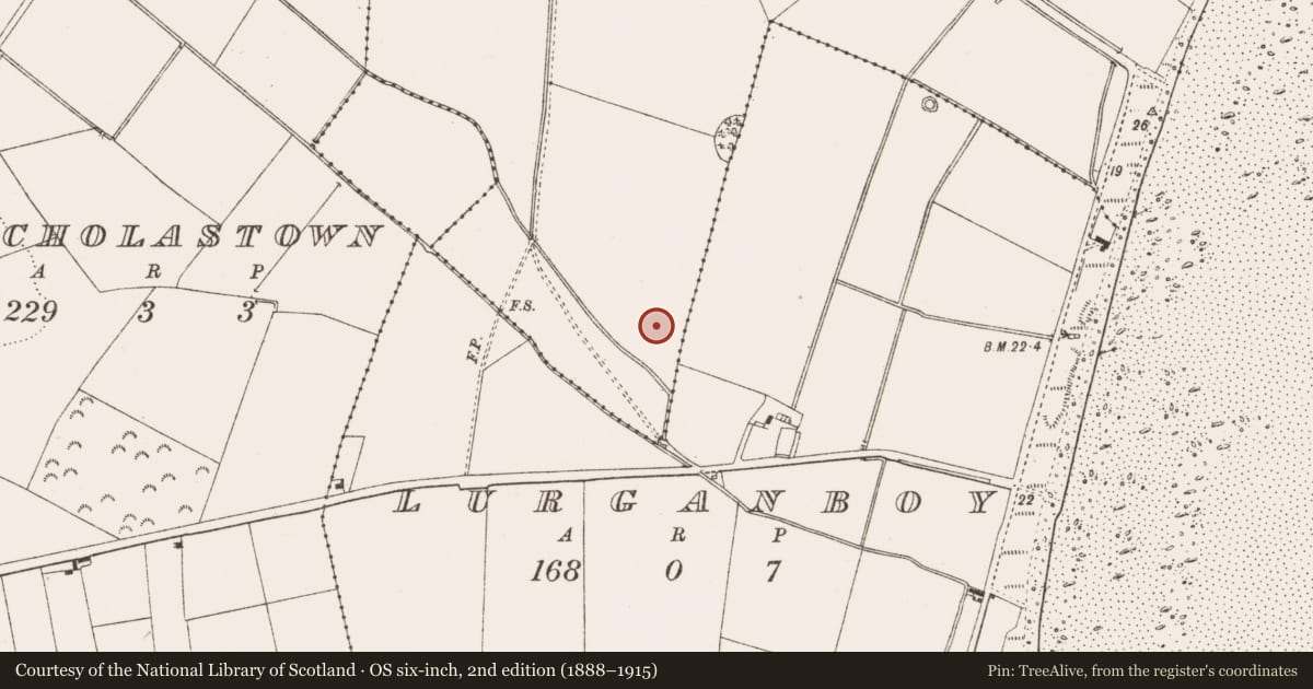 Ordnance Survey six-inch map, 2nd edition (1888–1915) covering the location of Enclosure, Port, County Louth, with a pin at the register's coordinates