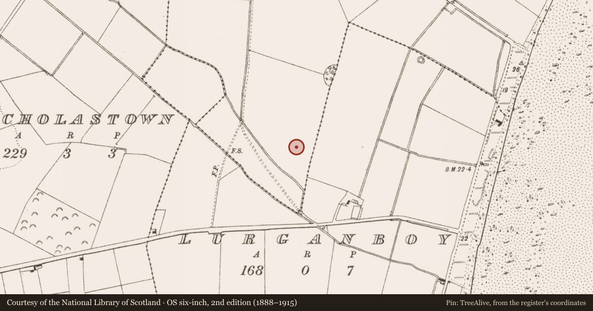 Ordnance Survey six-inch map, 2nd edition (1888–1915) covering the location of Field system, Port, County Louth, with a pin at the register's coordinates