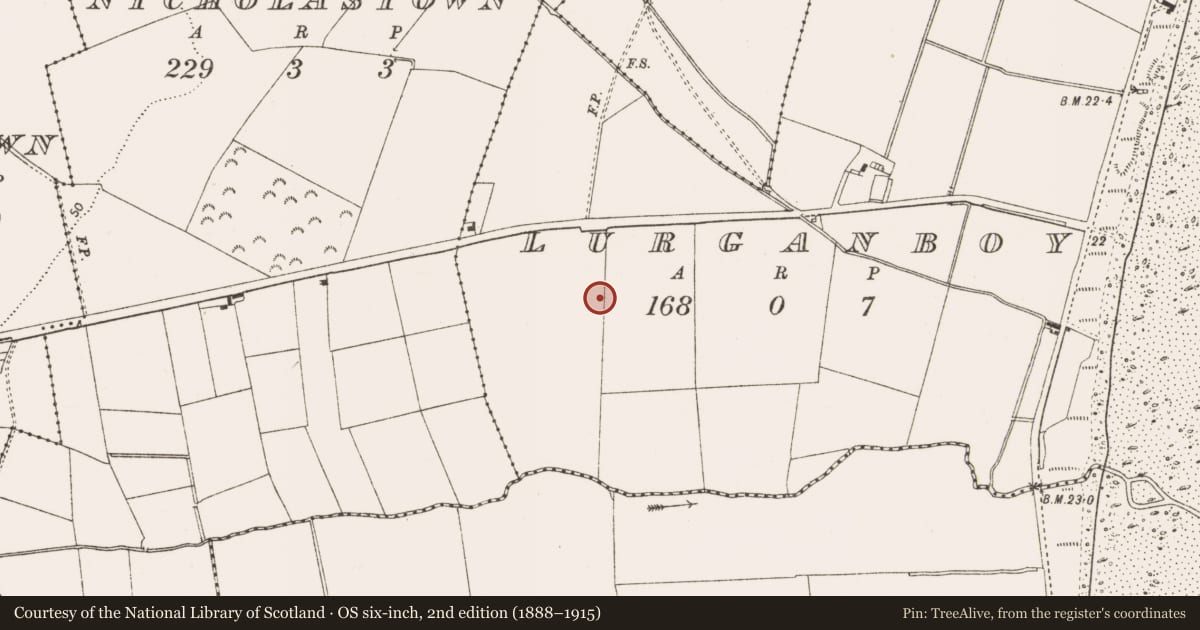 Ordnance Survey six-inch map, 2nd edition (1888–1915) covering the location of Enclosure, Lurganboy, County Louth, with a pin at the register's coordinates