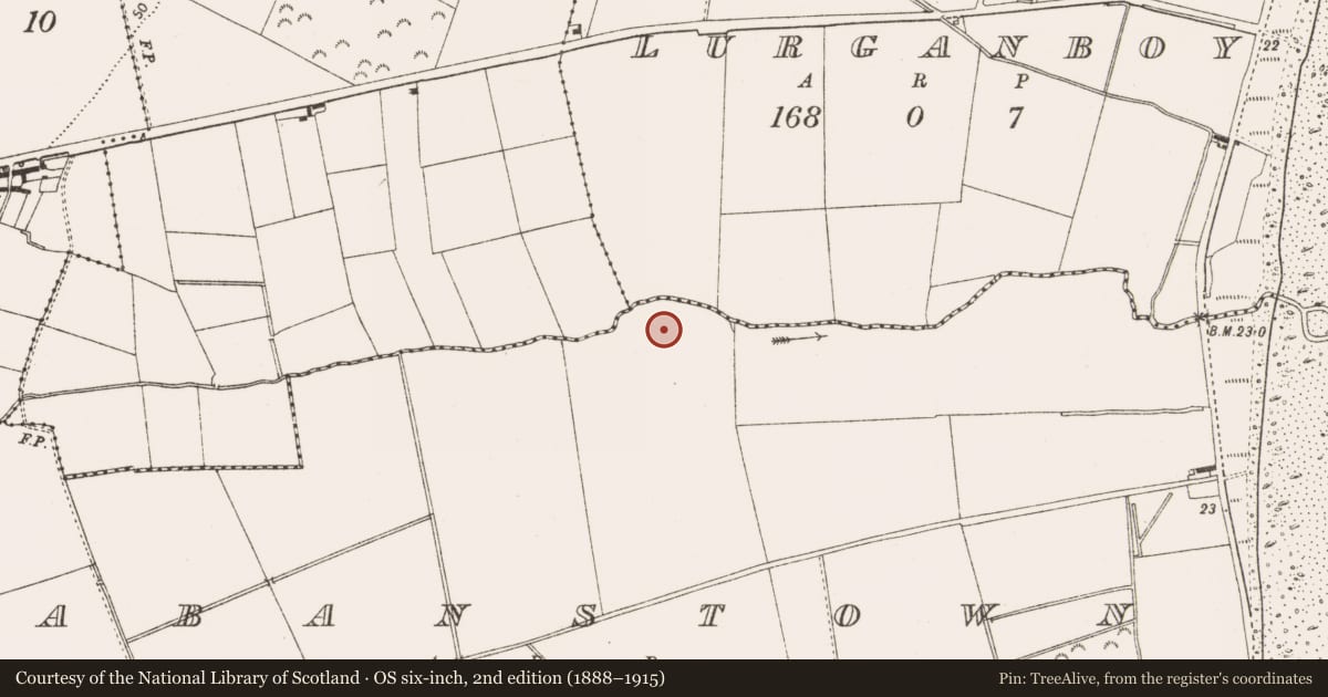 Ordnance Survey six-inch map, 2nd edition (1888–1915) covering the location of Enclosure, Labanstown, County Louth, with a pin at the register's coordinates