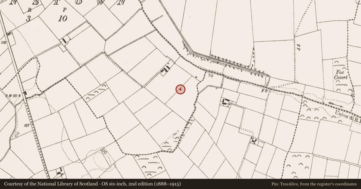 Ordnance Survey six-inch map, 2nd edition (1888–1915) covering the location of Ringfort - rath, Wyanstown, County Louth, with a pin at the register's coordinates