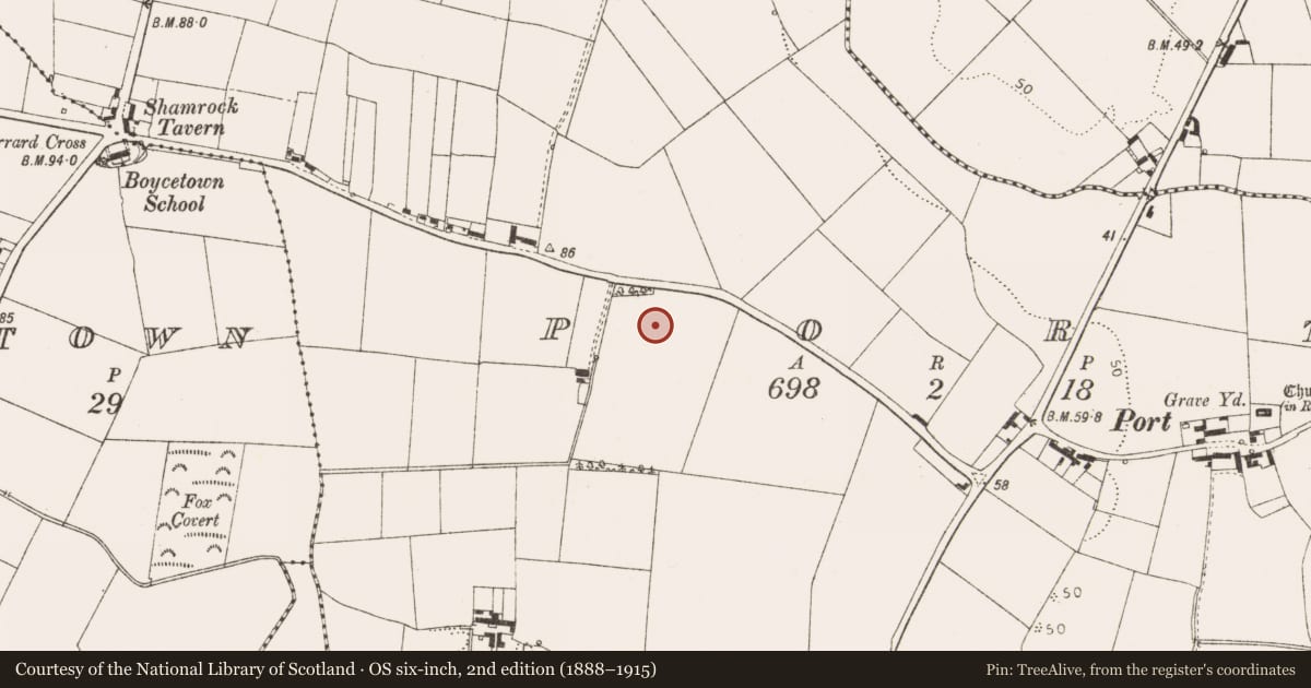 Ordnance Survey six-inch map, 2nd edition (1888–1915) covering the location of Enclosure, Port, County Louth, with a pin at the register's coordinates
