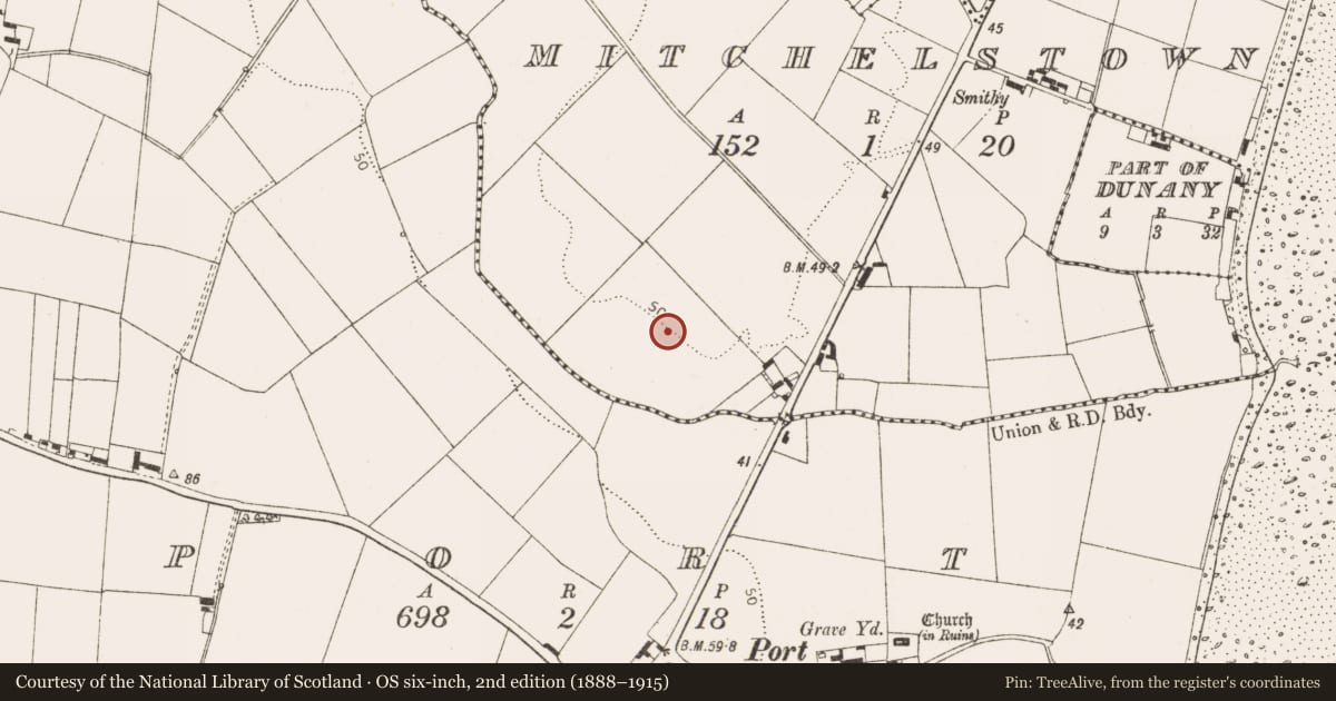 Ordnance Survey six-inch map, 2nd edition (1888–1915) covering the location of Enclosure, Mitchellstown, County Louth, with a pin at the register's coordinates
