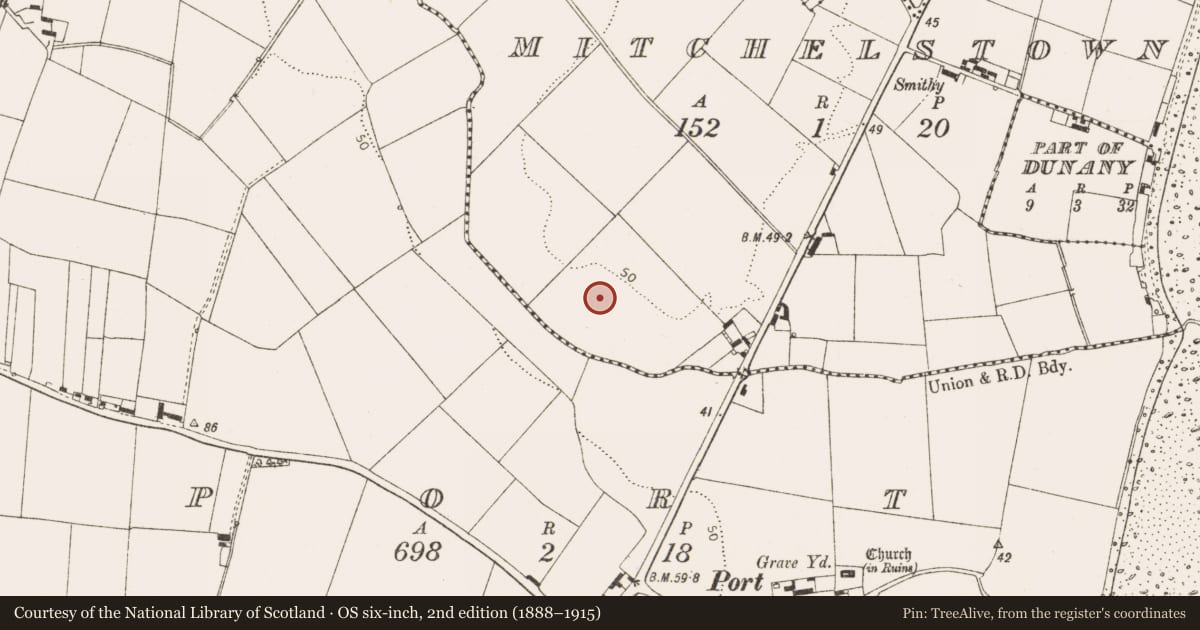 Ordnance Survey six-inch map, 2nd edition (1888–1915) covering the location of Road - road/trackway, Mitchellstown, County Louth, with a pin at the register's coordinates