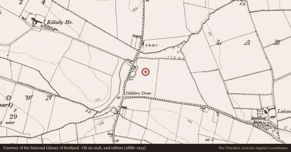 Ordnance Survey six-inch map, 2nd edition (1888–1915) covering the location of Enclosure, Labanstown, County Louth, with a pin at the register's coordinates