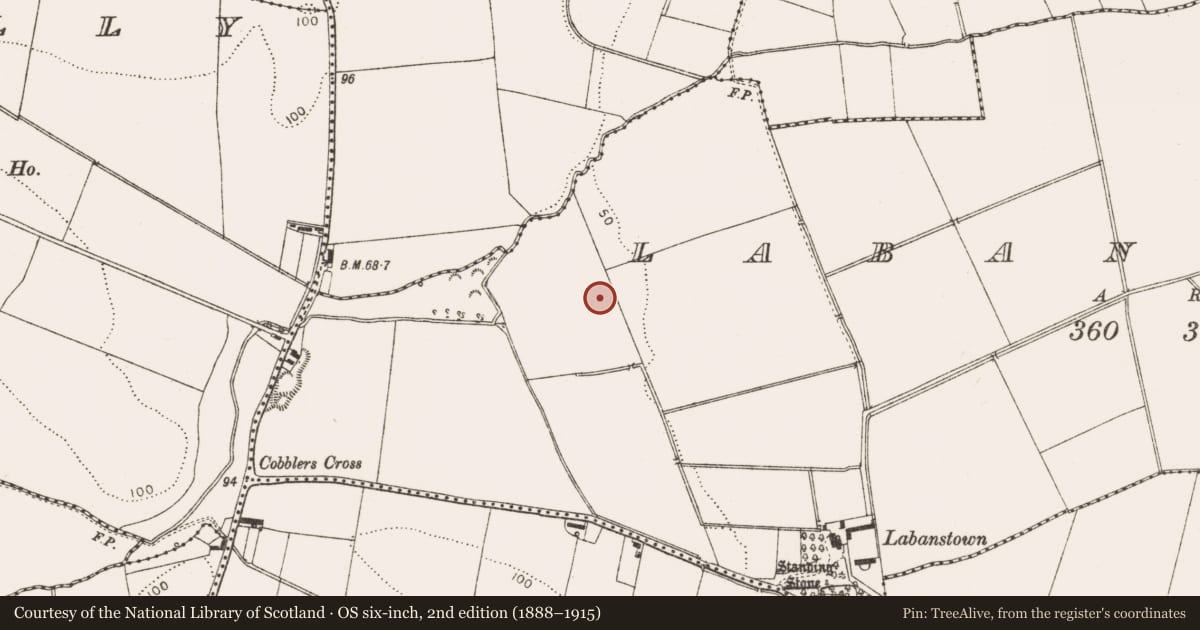 Ordnance Survey six-inch map, 2nd edition (1888–1915) covering the location of Enclosure, Labanstown, County Louth, with a pin at the register's coordinates