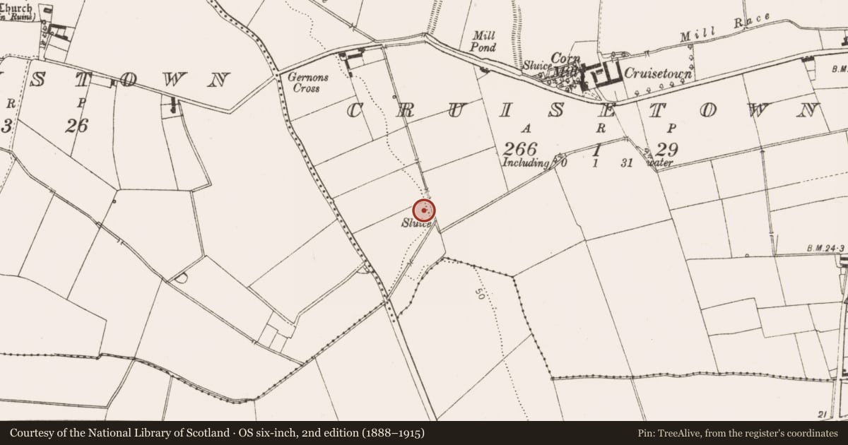 Ordnance Survey six-inch map, 2nd edition (1888–1915) covering the location of Enclosure, Cruisetown, County Louth, with a pin at the register's coordinates
