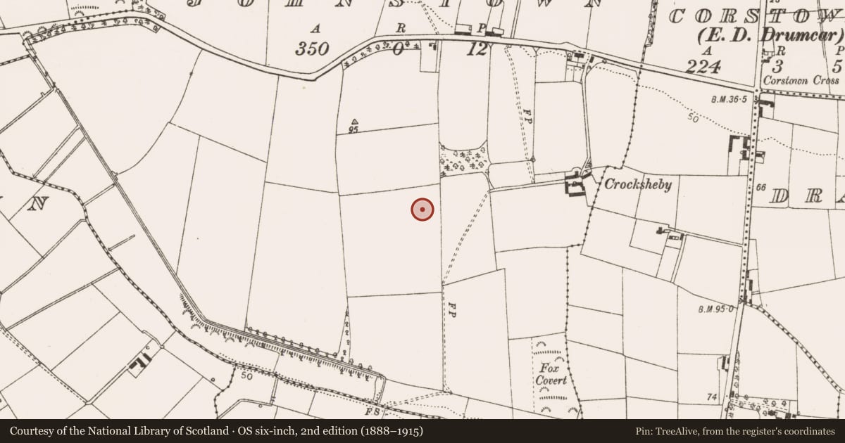 Ordnance Survey six-inch map, 2nd edition (1888–1915) covering the location of Enclosure, Johnstown, County Louth, with a pin at the register's coordinates
