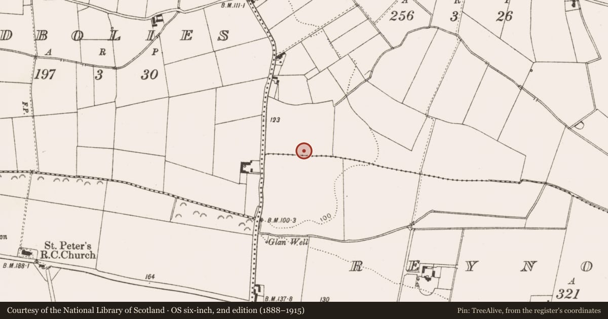 Ordnance Survey six-inch map, 2nd edition (1888–1915) covering the location of Enclosure, Parsonstown, County Louth, with a pin at the register's coordinates