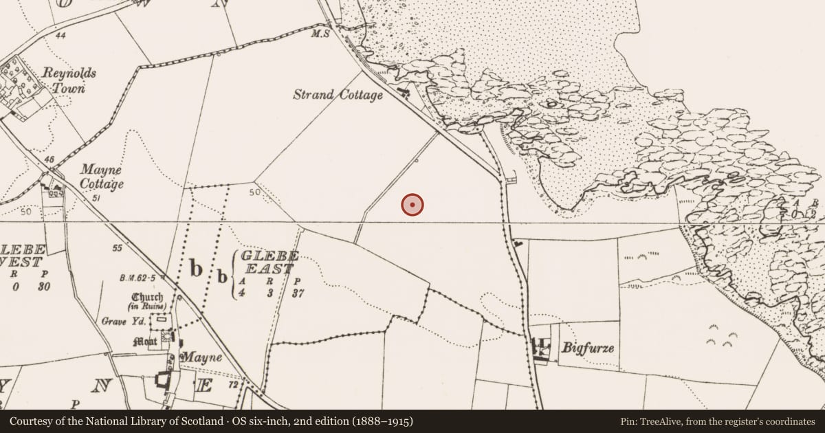 Ordnance Survey six-inch map, 2nd edition (1888–1915) covering the location of Field system, Mayne, County Louth, with a pin at the register's coordinates
