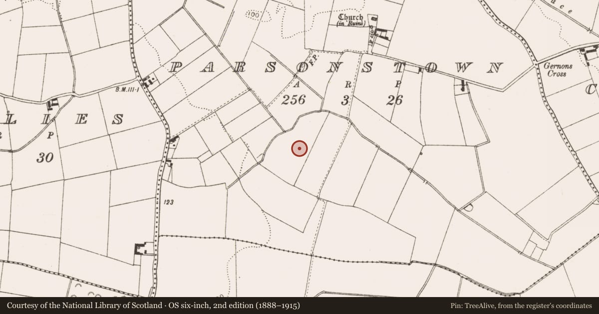 Ordnance Survey six-inch map, 2nd edition (1888–1915) covering the location of Enclosure, Parsonstown, County Louth, with a pin at the register's coordinates