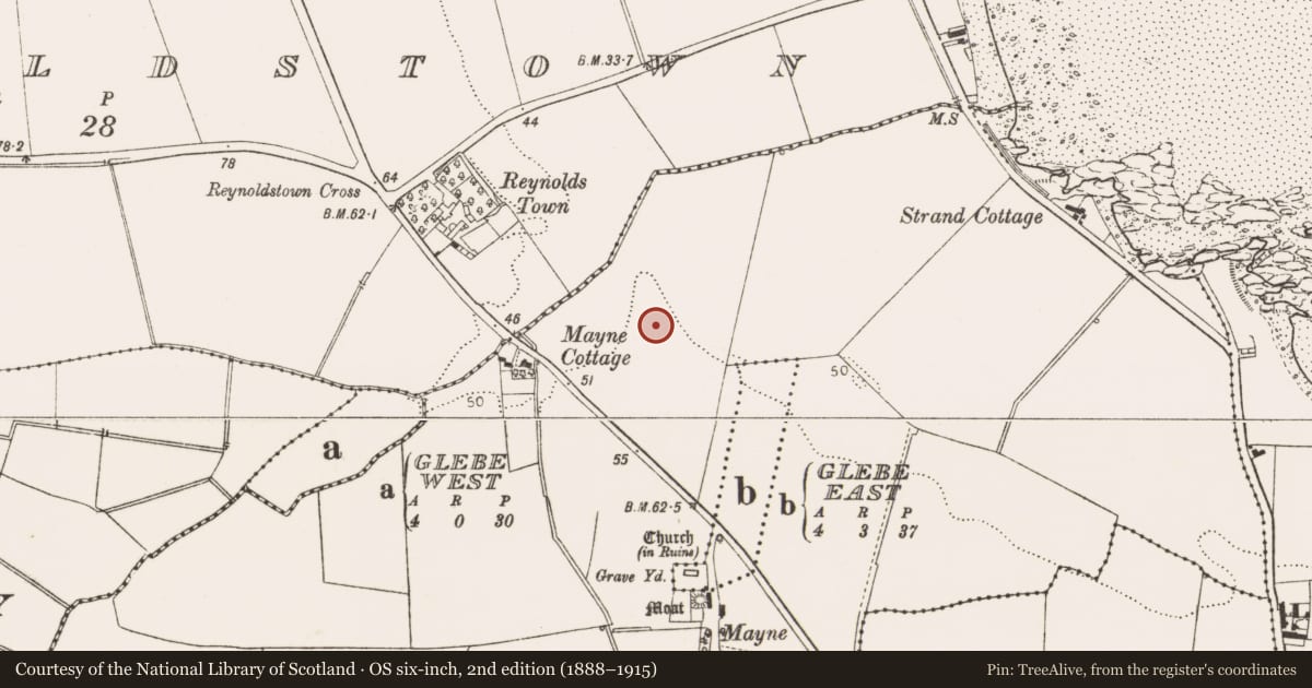 Ordnance Survey six-inch map, 2nd edition (1888–1915) covering the location of Ring-ditch, Mayne, County Louth, with a pin at the register's coordinates