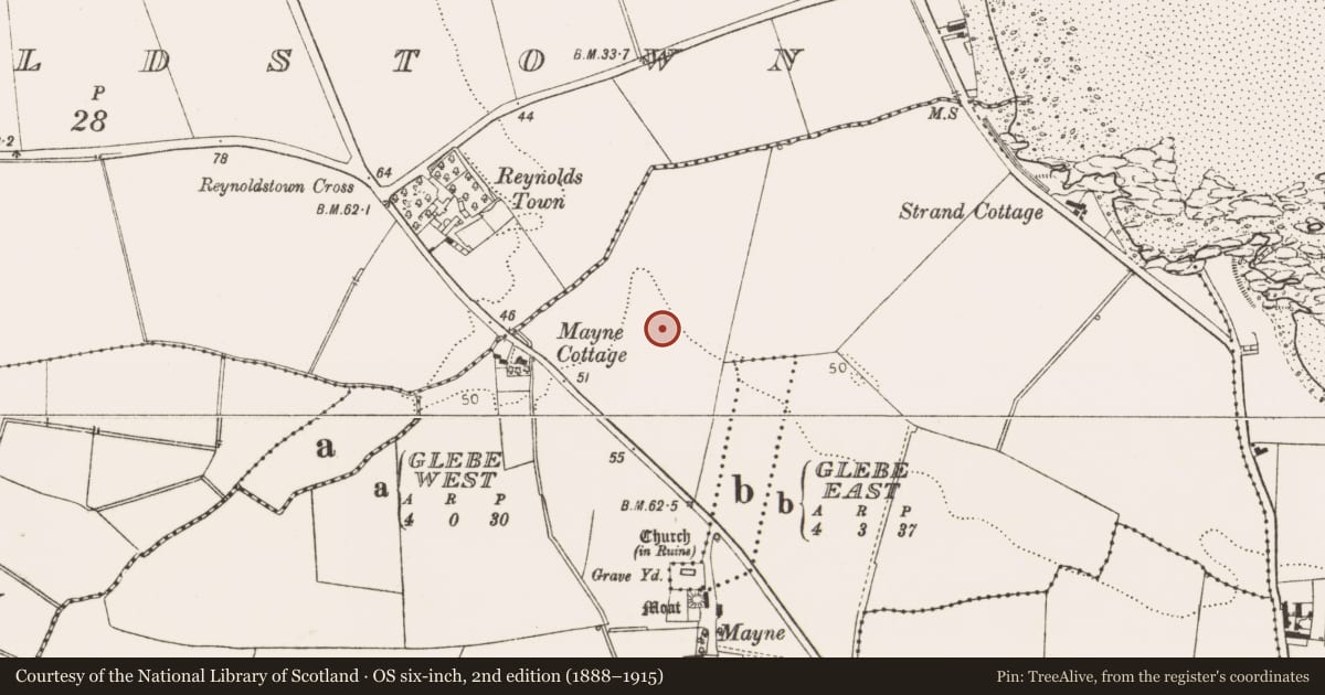 Ordnance Survey six-inch map, 2nd edition (1888–1915) covering the location of Ring-ditch, Mayne, County Louth, with a pin at the register's coordinates