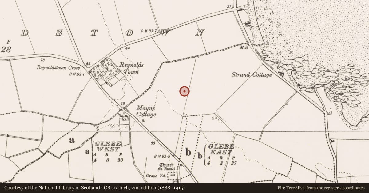 Ordnance Survey six-inch map, 2nd edition (1888–1915) covering the location of Enclosure, Mayne, County Louth, with a pin at the register's coordinates