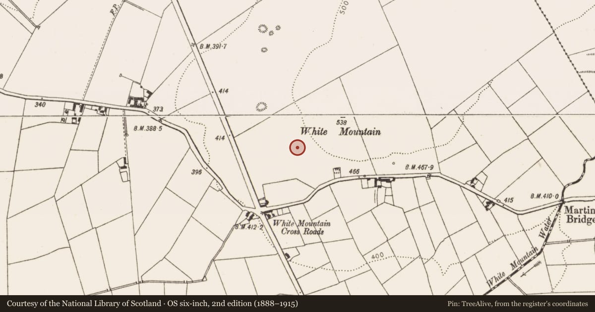 Ordnance Survey six-inch map, 2nd edition (1888–1915) covering the location of Pit-burial, Smarmore, County Louth, with a pin at the register's coordinates