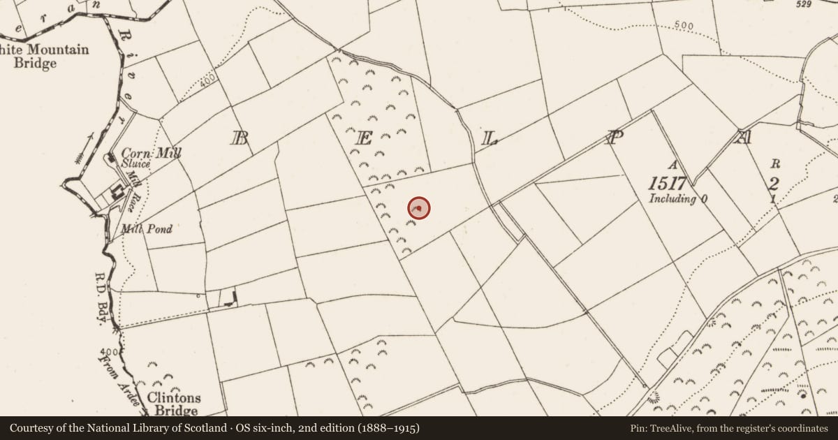 Ordnance Survey six-inch map, 2nd edition (1888–1915) covering the location of Mound, Belpatrick, County Louth, with a pin at the register's coordinates
