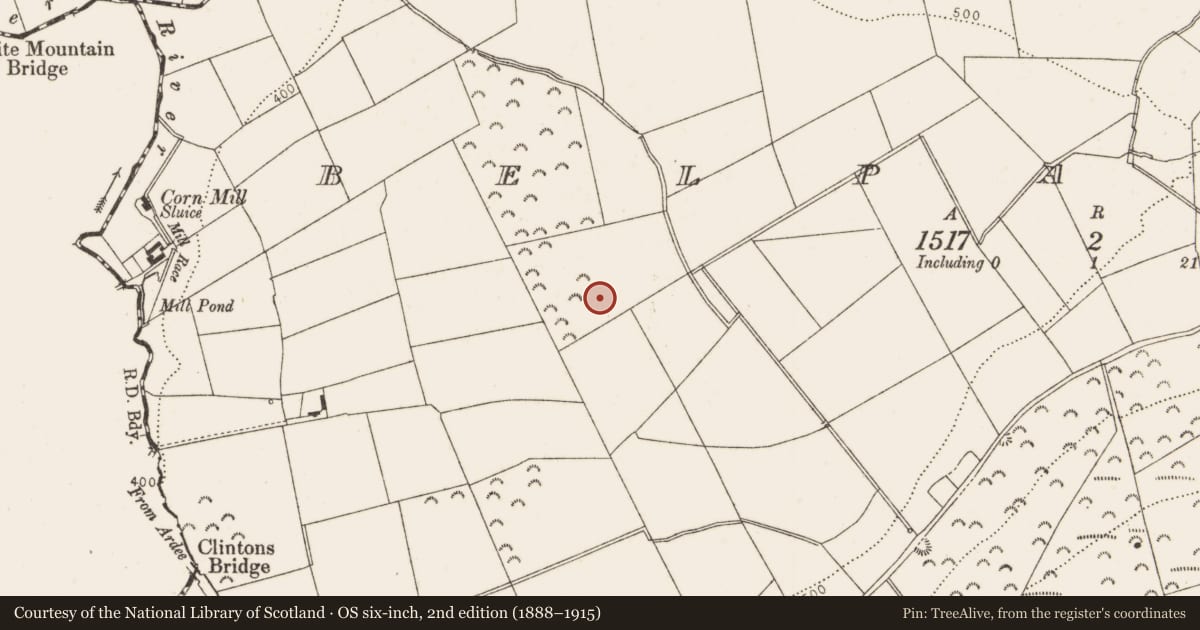 Ordnance Survey six-inch map, 2nd edition (1888–1915) covering the location of Mound, Belpatrick, County Louth, with a pin at the register's coordinates