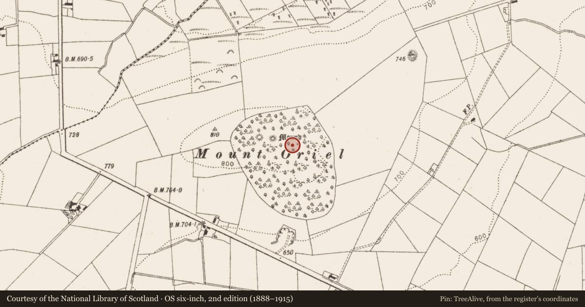 Ordnance Survey six-inch map, 2nd edition (1888–1915) covering the location of Barrow - ring-barrow, Collon, County Louth, with a pin at the register's coordinates