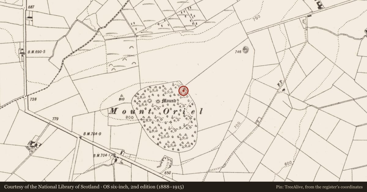 Ordnance Survey six-inch map, 2nd edition (1888–1915) covering the location of Bullaun stone, Collon, County Louth, with a pin at the register's coordinates