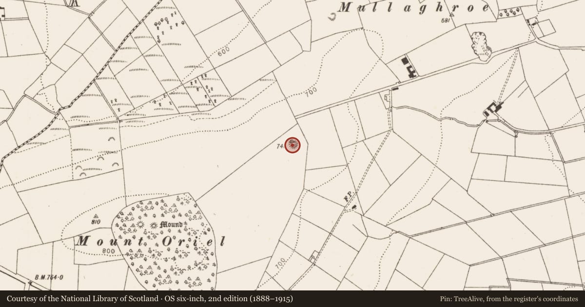 Ordnance Survey six-inch map, 2nd edition (1888–1915) covering the location of Barrow - ring-barrow, Collon, County Louth, with a pin at the register's coordinates