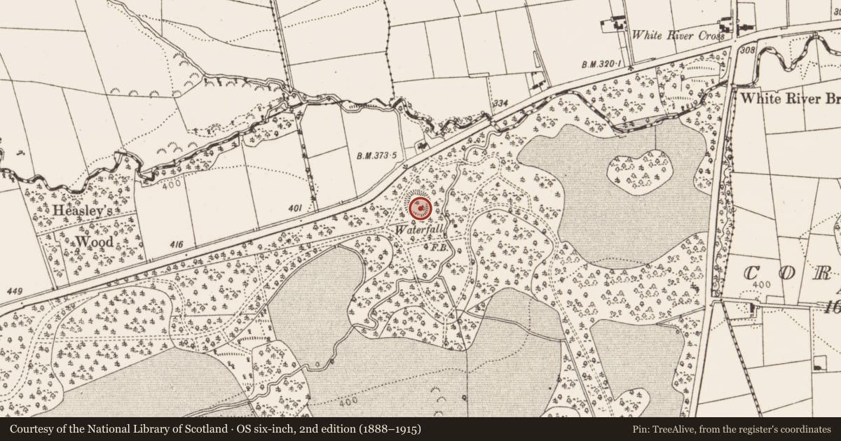 Ordnance Survey six-inch map, 2nd edition (1888–1915) covering the location of Designed landscape - tree-ring, Collon, County Louth, with a pin at the register's coordinates