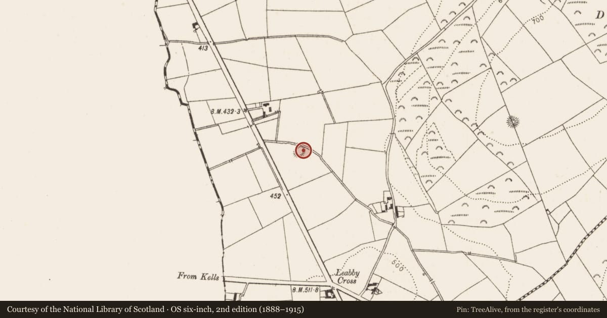 Ordnance Survey six-inch map, 2nd edition (1888–1915) covering the location of Earthwork, Belpatrick, County Louth, with a pin at the register's coordinates