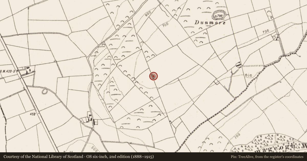 Ordnance Survey six-inch map, 2nd edition (1888–1915) covering the location of Barrow - unclassified, Belpatrick, County Louth, with a pin at the register's coordinates