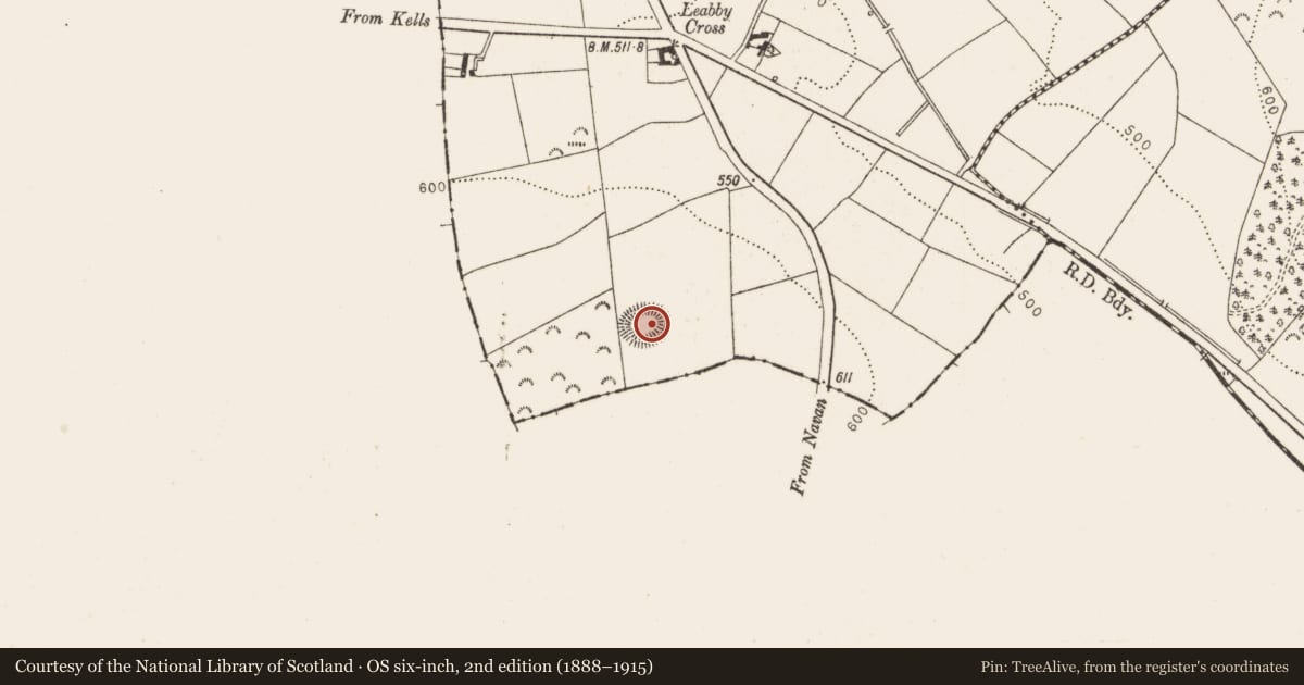 Ordnance Survey six-inch map, 2nd edition (1888–1915) covering the location of Ringfort - rath, Belpatrick, County Louth, with a pin at the register's coordinates